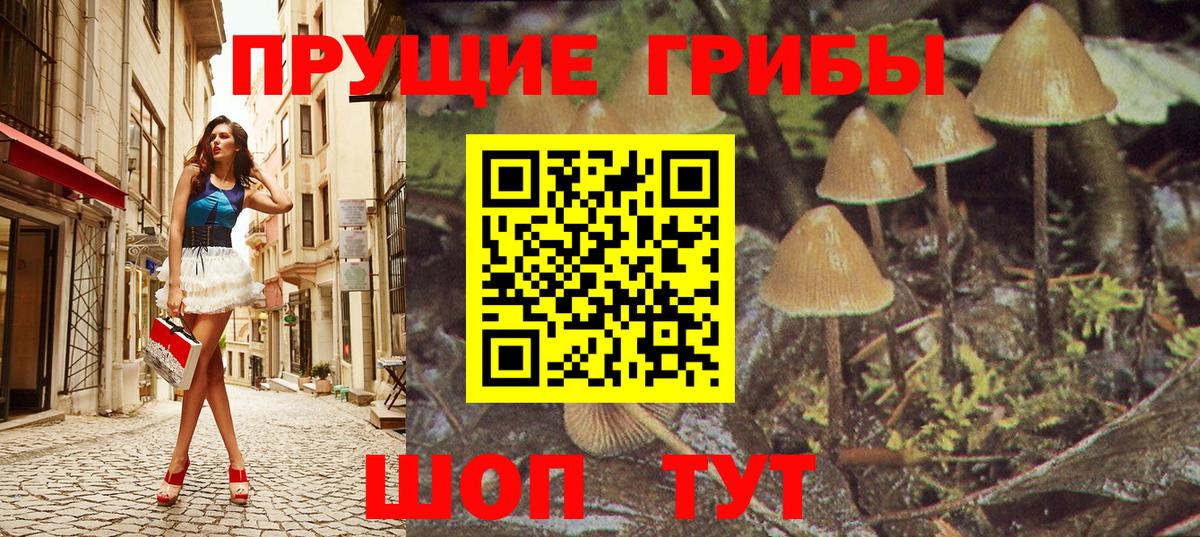 Галлюциногенные грибы GOLDEN TEACHER  Вход с VPN  Усть-Илимск 